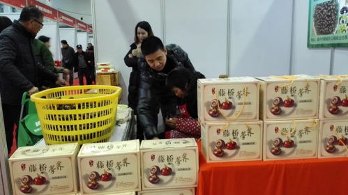 雪景初霁，年味渐浓 温州会展中心农特产年货盛宴开启