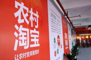 农村淘宝双11首战告捷 揭秘村淘App核心功能与特农淘战略布局